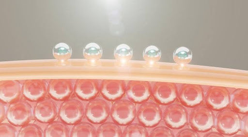 Damaged Skin Barrier: Causes, Signs, and Restorations